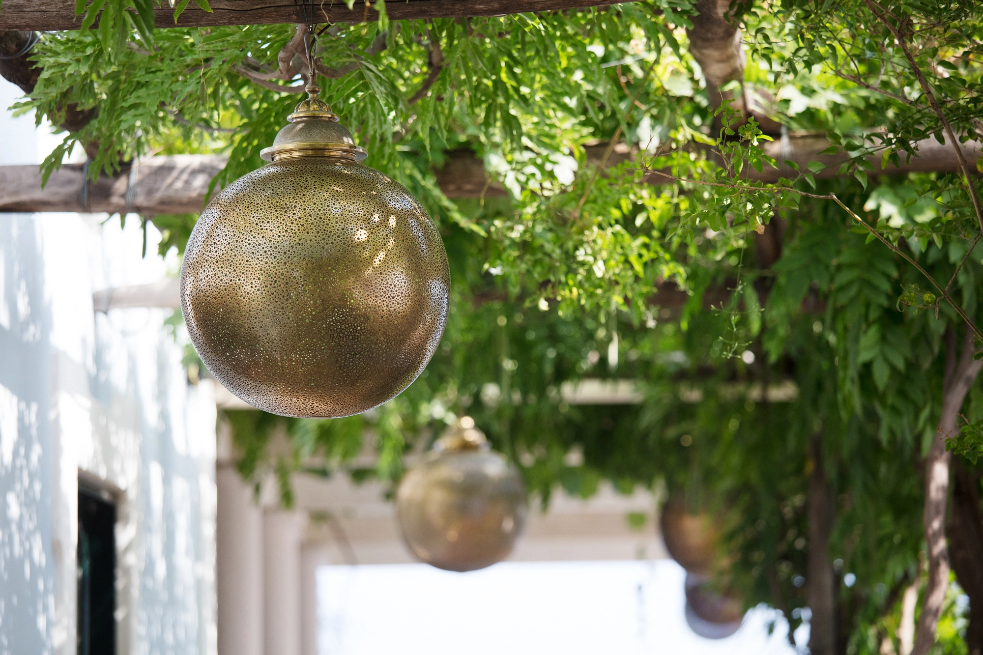 Brass globe pendant hanging amid green vines on a pergola.