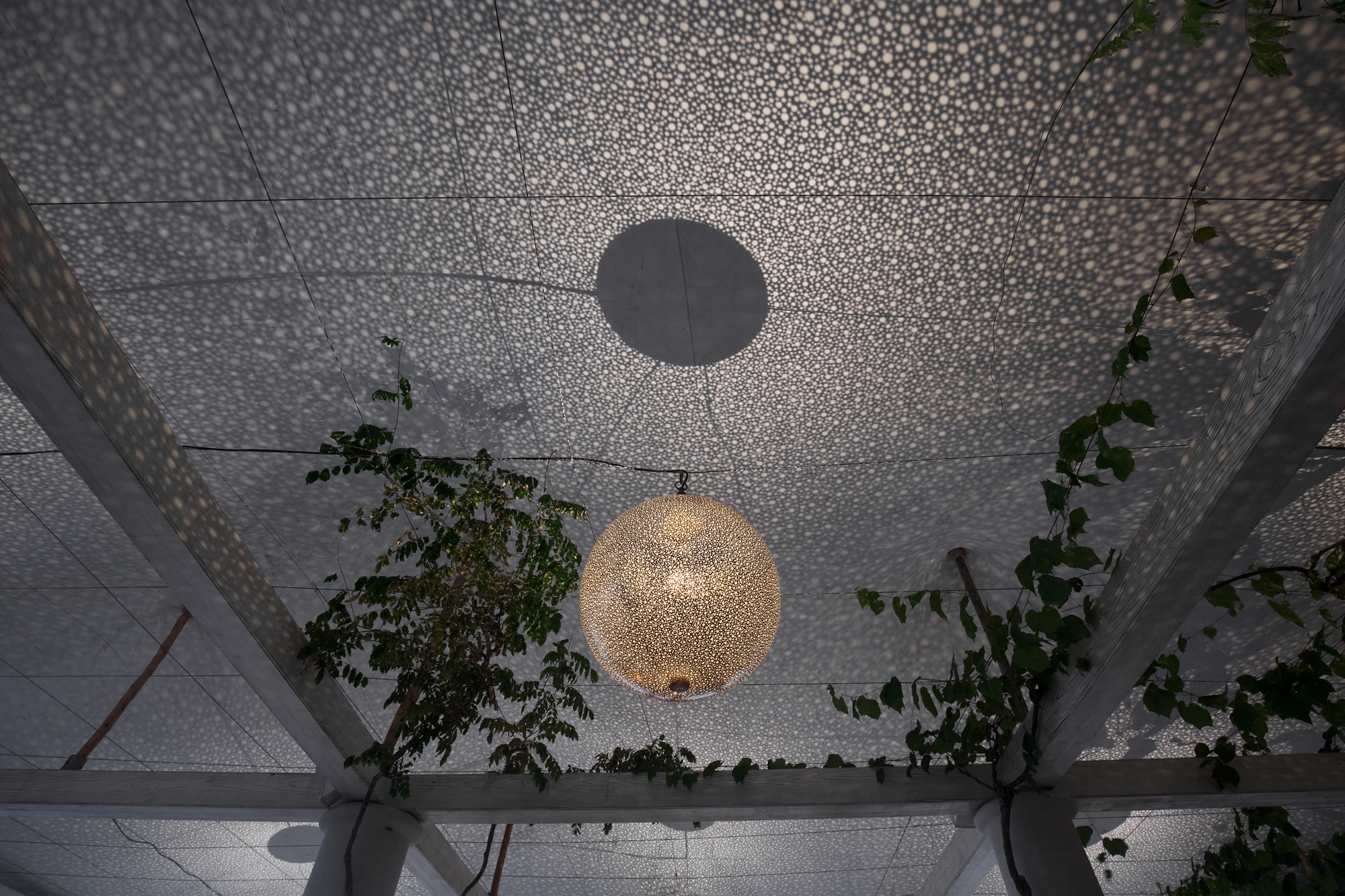 Two globe pendants seen from below beneath a pierced ceiling laced with climbing greenery.
