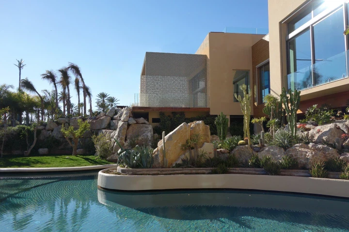 Low modern villa beside a rock-edged swimming pool with palms, viewed across the garden.