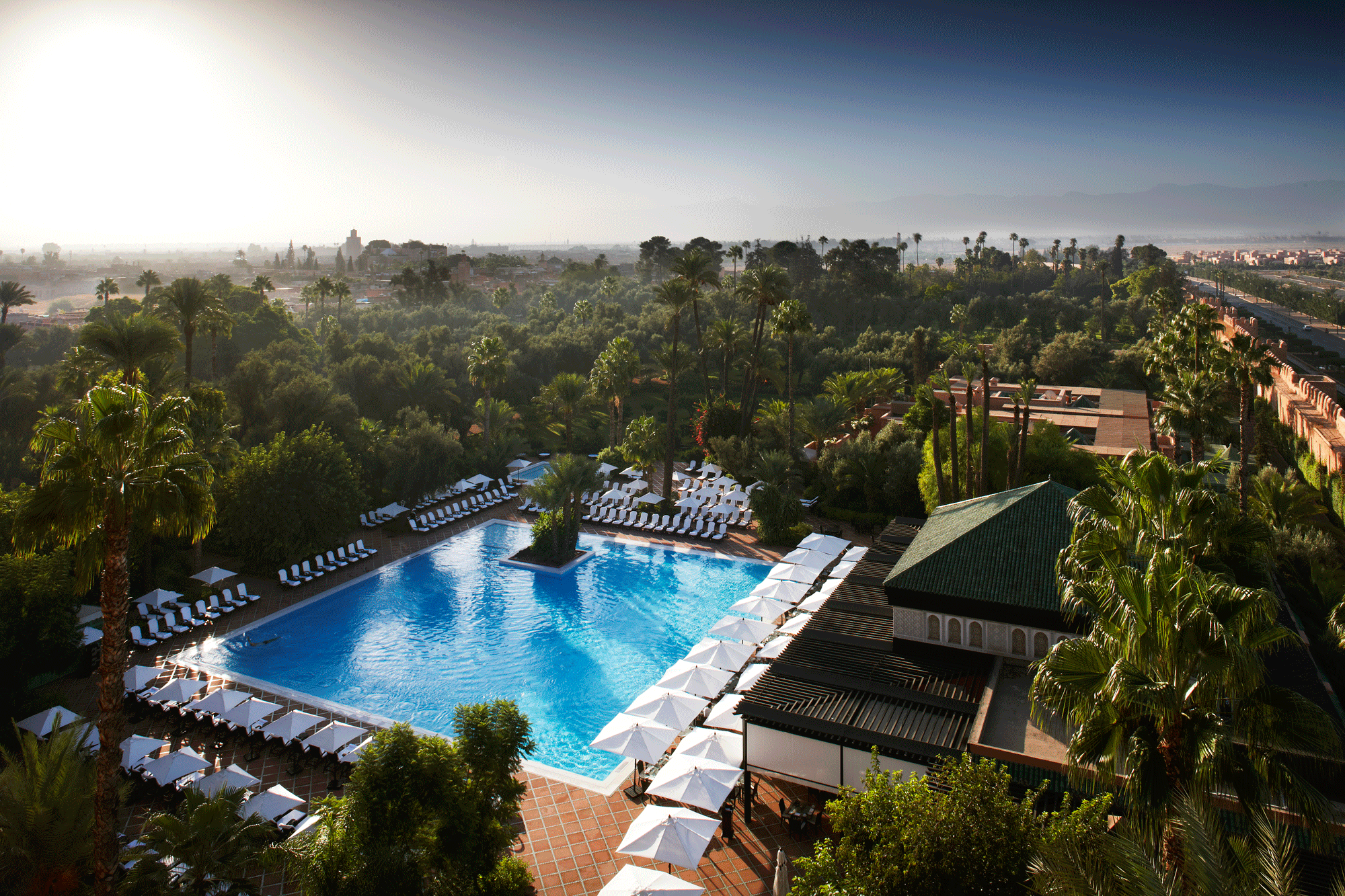 Aerial view of a hotel swimming pool surrounded by manicured gardens and palm trees.