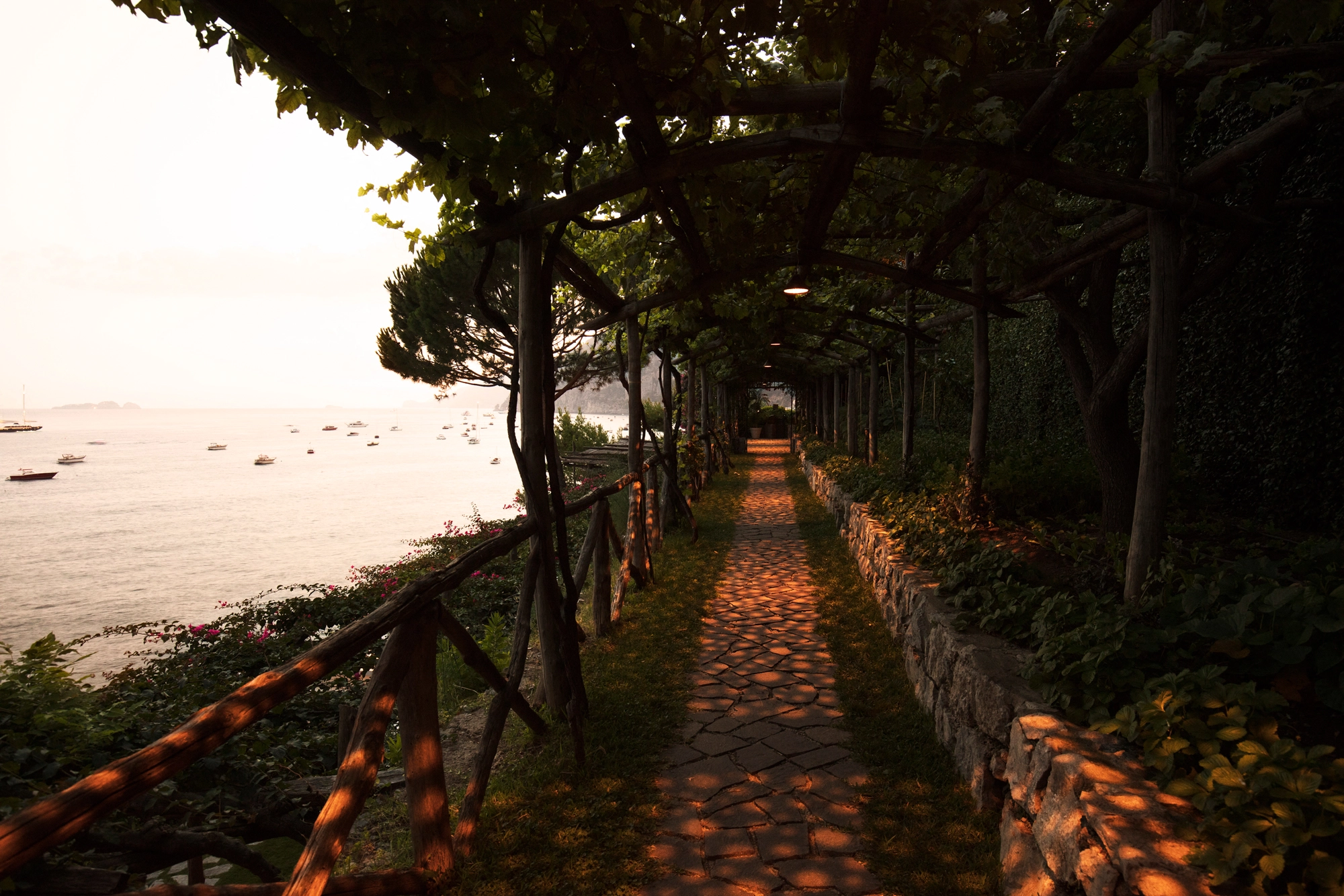 Long coastal pathway at dusk lined with lights and overhanging trees, leading toward the sea.