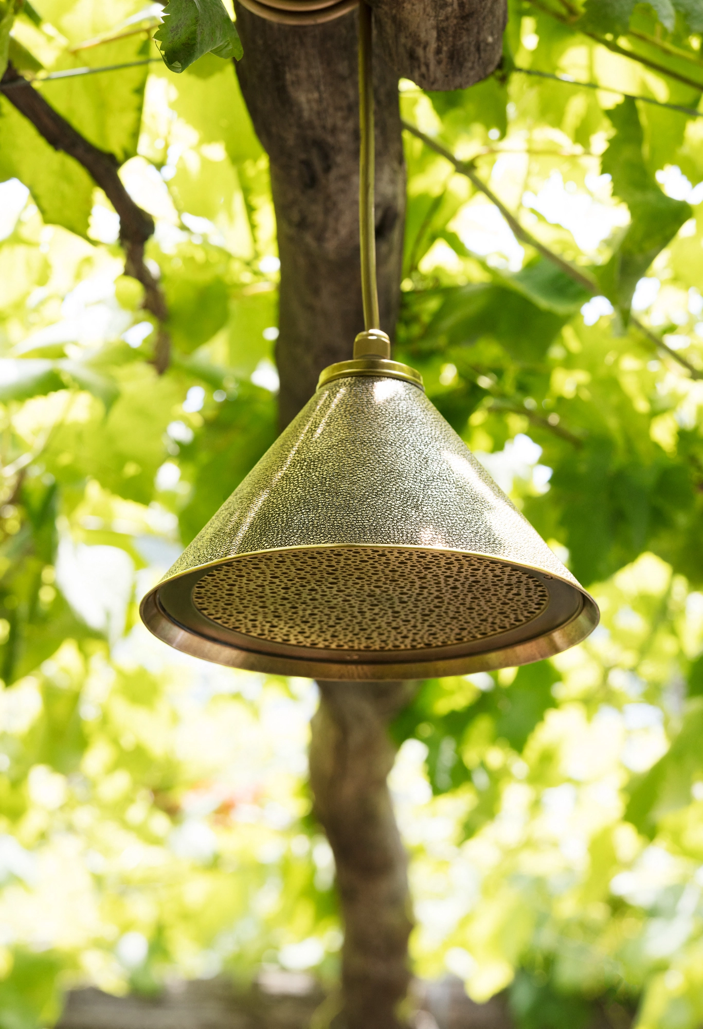 Brass pierced cone pendant lamp hanging from a tree in dappled green light.